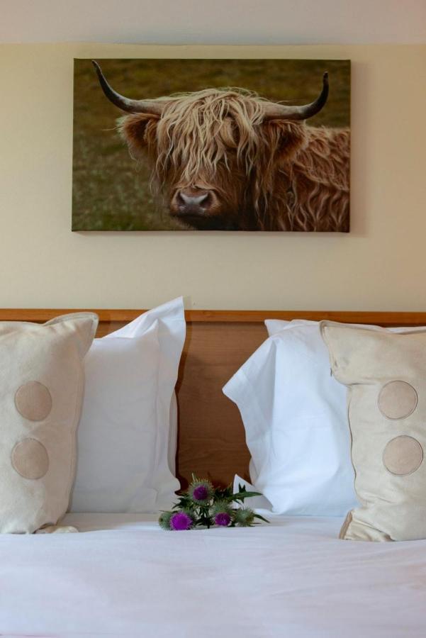 Springburn Farmhouse 史宾桥 外观 照片